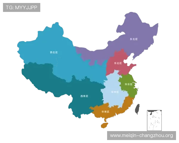 欧博有限公司在国际市场中的品牌战略与竞争优势探讨