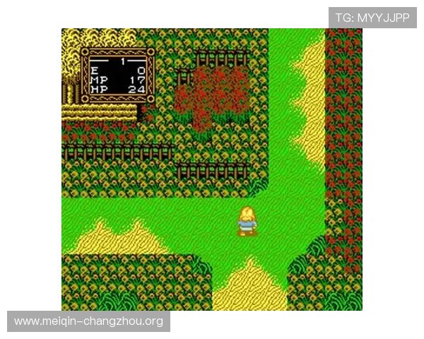 欧博游戏入口：便捷安全的登录方式助你轻松开启游戏之旅