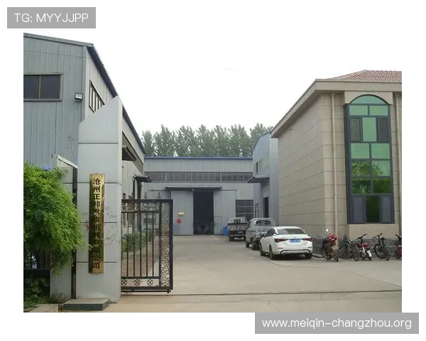 欧博官网abg平台出现异常的常见原因及解决方案，帮助用户快速恢复正常使用体验