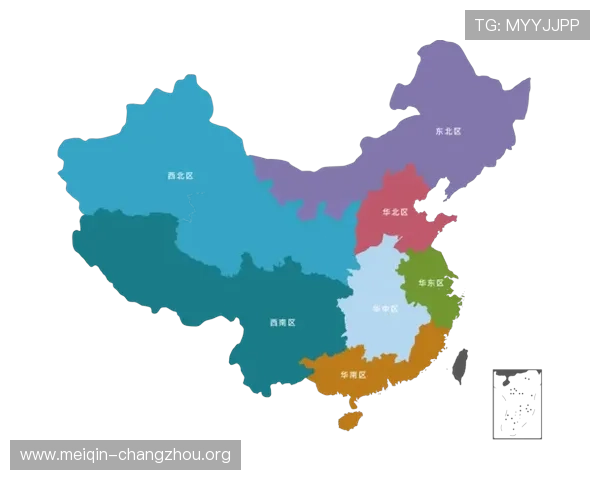 欧博集团在国际市场的布局与合作策略分析与展望